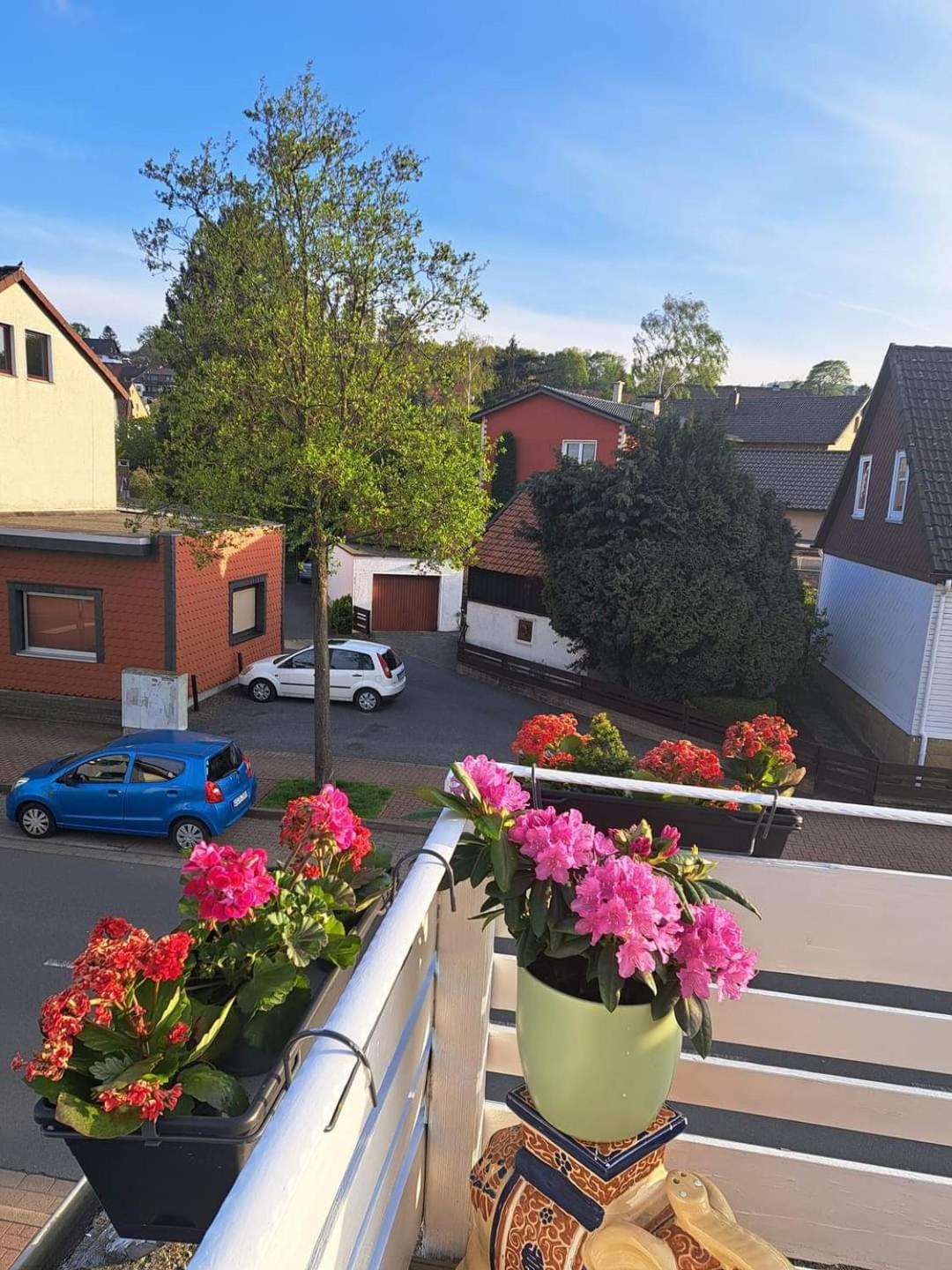 Im Harz Apartment Bad Harzburg