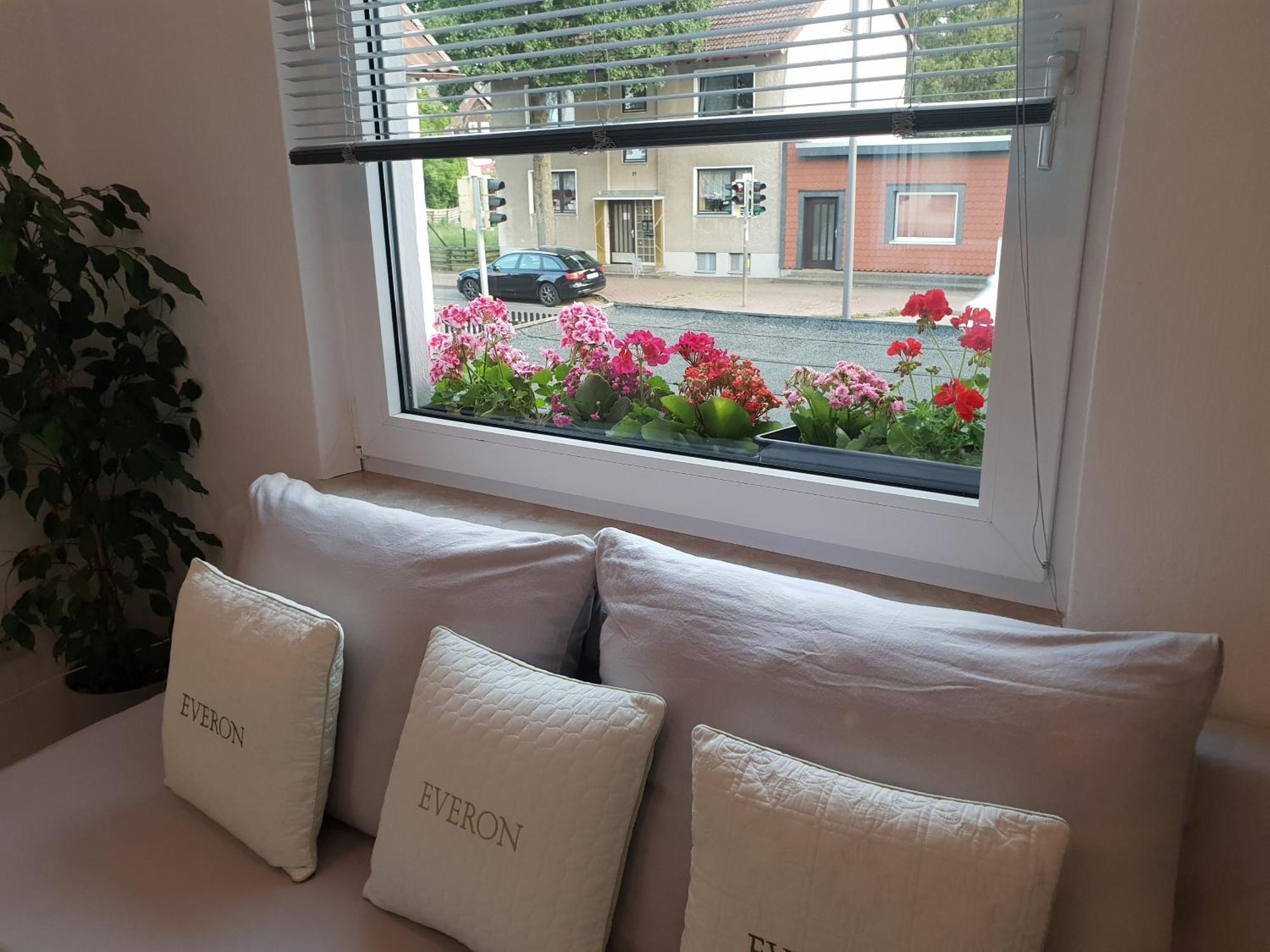 Im Harz Apartment Bad Harzburg