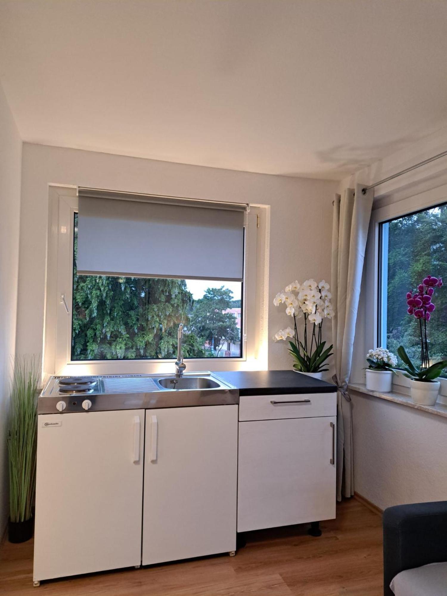 Im Harz Apartment *